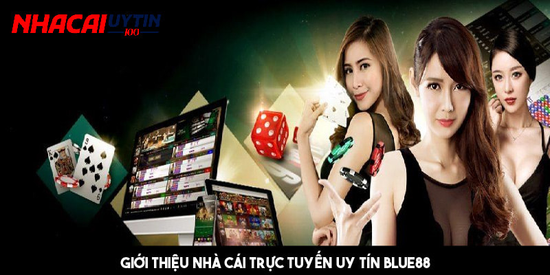 Khái quát về sân chơi cá cược hàng đầu - Blue88