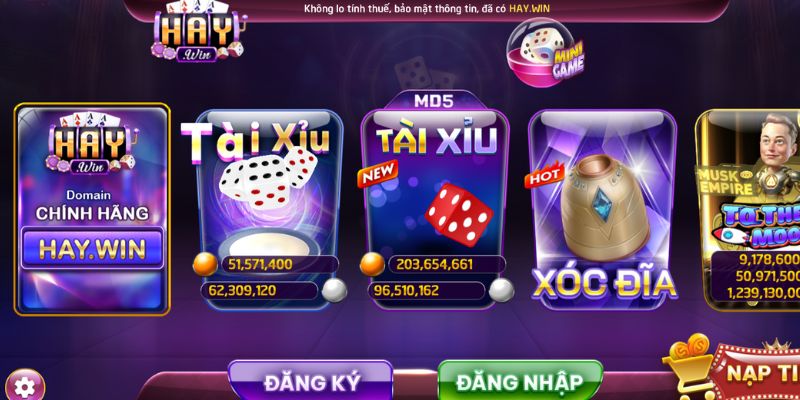 Tìm hiểu chung về Haywin